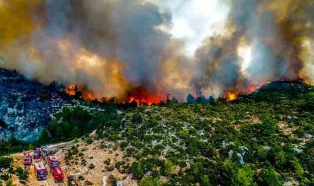 Orman yangını sanığı: Ben orman yakmadım, Özlem'i etkilemek için öyle söyledim