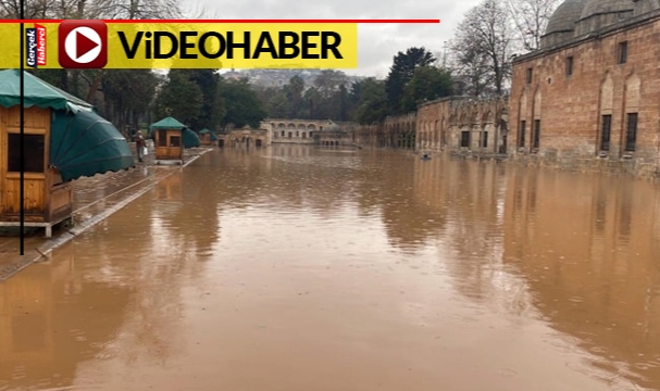 Şanlıurfa'da sağanak nedeniyle Balıklıgöl taştı