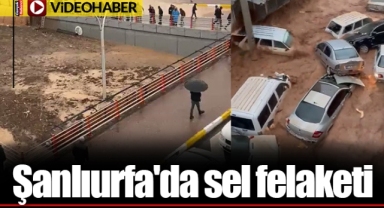 Şanlıurfa'da sel felaketi