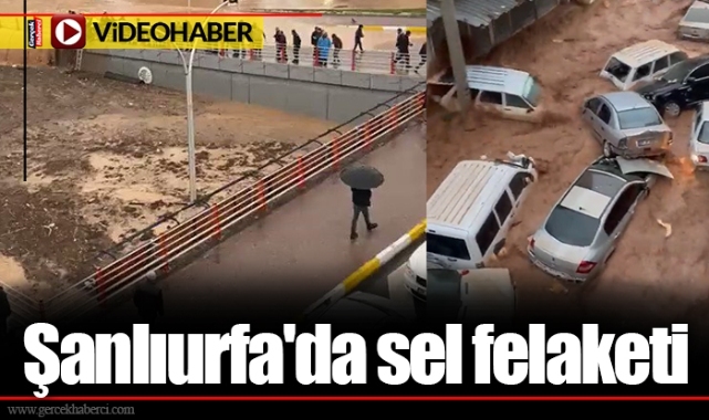 Şanlıurfa'da sel felaketi