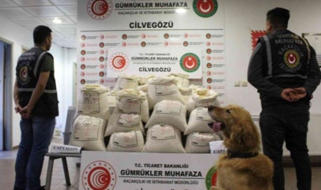 Uyuşturucuda her yıl yeni rekor