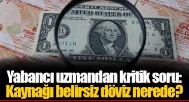 Yabancı uzmandan kritik soru: Kaynağı belirsiz döviz nerede?