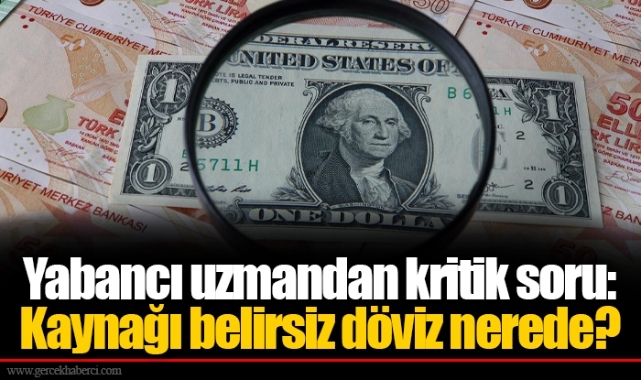 Yabancı uzmandan kritik soru: Kaynağı belirsiz döviz nerede?