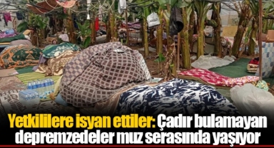 Yetkililere isyan ettiler: Çadır bulamayan depremzedeler muz serasında yaşıyor