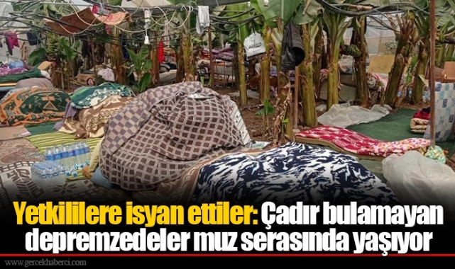 Yetkililere isyan ettiler: Çadır bulamayan depremzedeler muz serasında yaşıyor