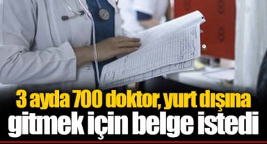 3 ayda 700 doktor, yurt dışına gitmek için belge istedi