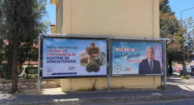 “Bizi bir de bahar gelince görün”