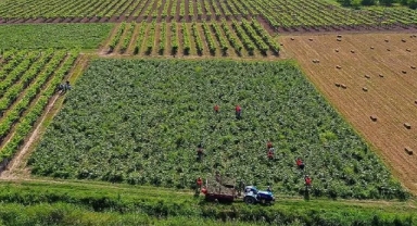 Çiftçilere tarımsal destekleme ödemesi bugün yapılacak