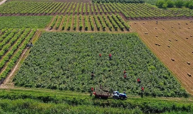 Çiftçilere tarımsal destekleme ödemesi bugün yapılacak