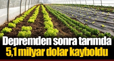 Depremden sonra tarımda 5,1 milyar dolar kayboldu
