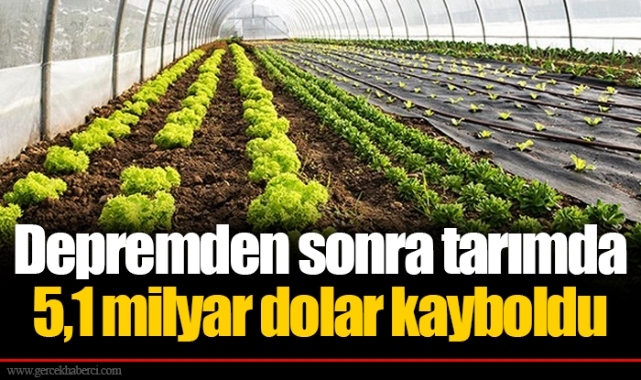 Depremden sonra tarımda 5,1 milyar dolar kayboldu