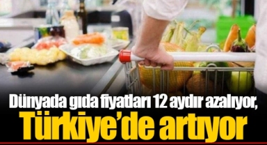 Dünyada gıda fiyatları 12 aydır azalıyor, Türkiye’de artıyor