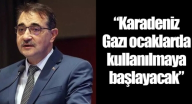 Enerji Bakanı Dönmez: