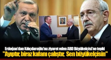 Erdoğan'dan Kılıçdaroğlu'nu ziyaret eden ABD Büyükelçisi'ne tepki