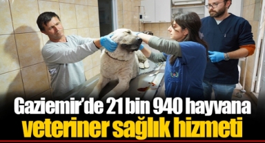 Gaziemir’de 21 bin 940 hayvana veteriner sağlık hizmeti