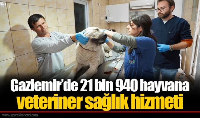 Gaziemir’de 21 bin 940 hayvana veteriner sağlık hizmeti