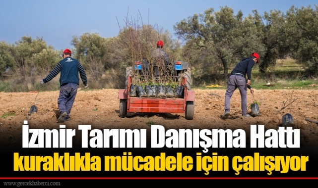 İzmir Tarımı Danışma Hattı kuraklıkla mücadele için çalışıyor