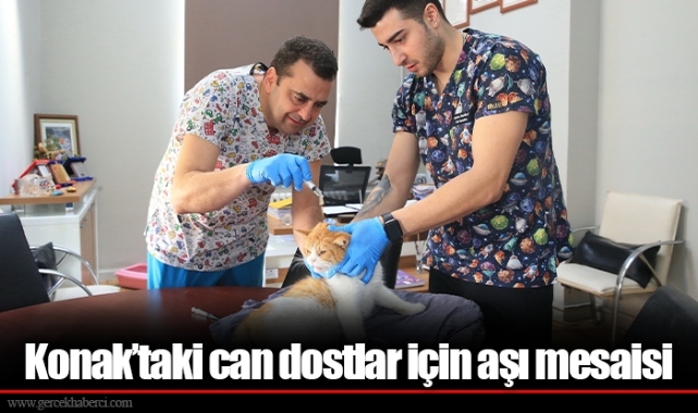 Konak’taki can dostlar için aşı mesaisi