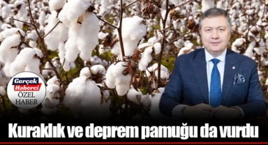 Kuraklık ve deprem pamuğu da vurdu