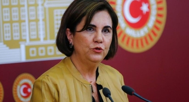 Memleket Partisi'nin kurucularından biriydi: Gaye Usluer yeniden CHP'de