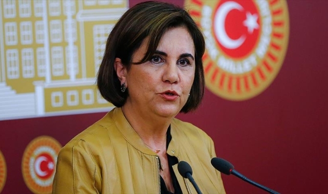 Memleket Partisi'nin kurucularından biriydi:  Gaye Usluer yeniden CHP'de