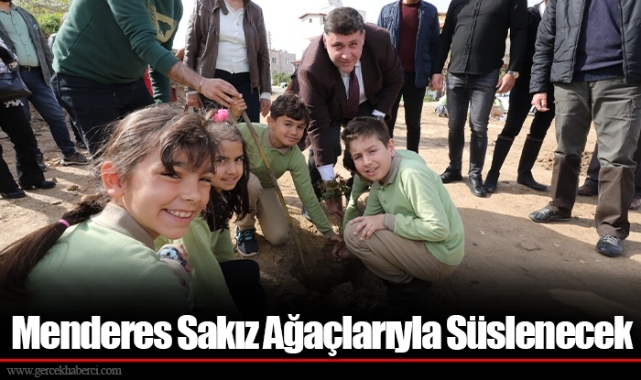 Menderes Sakız Ağaçlarıyla Süslenecek