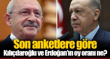 Son anketlere göre Kılıçdaroğlu ve Erdoğan'ın oy oranı ne?
