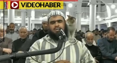 Teravih namazında davetsiz misafir: İmamın omzuna tırmandı