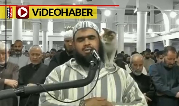 Teravih namazında davetsiz misafir: İmamın omzuna tırmandı