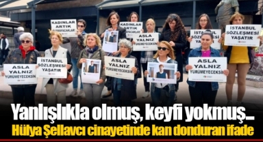 Yanlışlıkla olmuş, keyfi yokmuş... Hülya Şellavcı cinayetinde kan donduran ifade