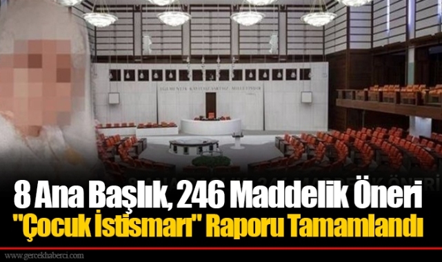 8 Ana Başlık, 246 Maddelik Öneri "Çocuk İstismarı" Raporu Tamamlandı