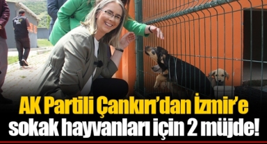 AK Partili Çankırı’dan İzmir’e sokak hayvanları için 2 müjde!