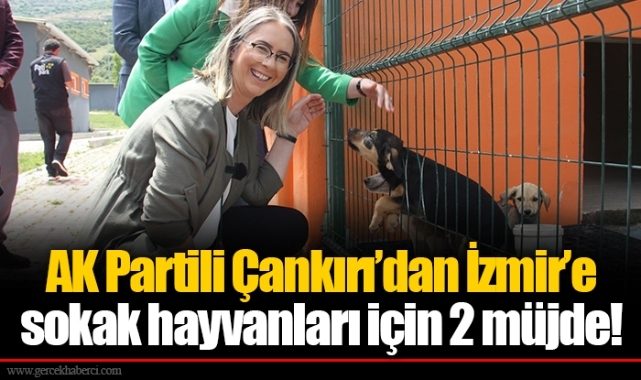 AK Partili Çankırı’dan İzmir’e sokak hayvanları için 2 müjde!
