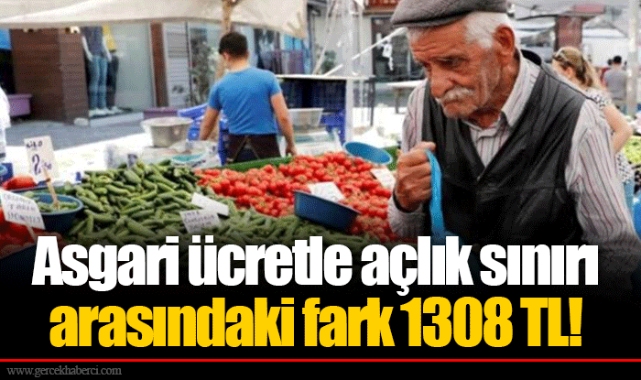 Asgari ücretle açlık sınırı arasındaki fark 1308 TL!