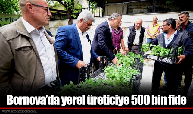 Bornova’da yerel üreticiye 500 bin fide