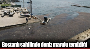Bostanlı sahilinde deniz marulu temizliği