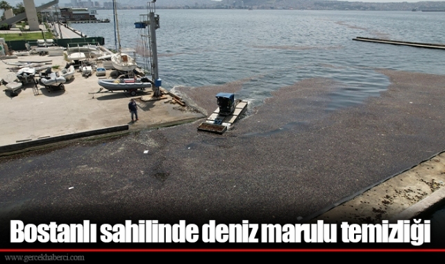 Bostanlı sahilinde deniz marulu temizliği