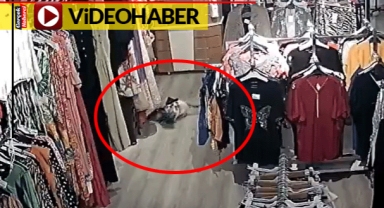 İstanbul'da bir kedi, girdiği mağazadan tayt çaldı