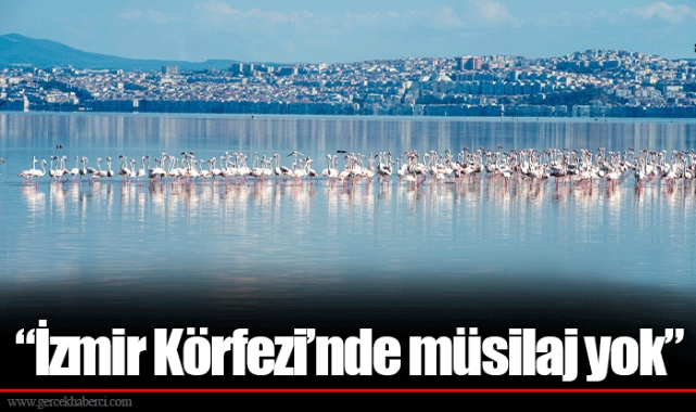 “İzmir Körfezi’nde müsilaj yok”