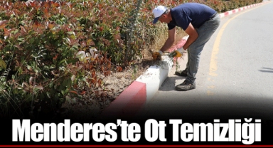 Menderes’te Ot Temizliği