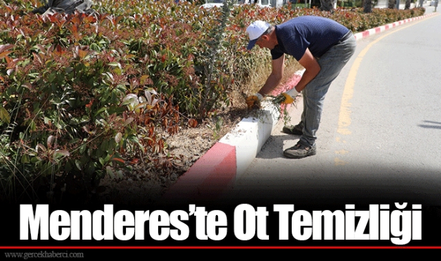 Menderes’te Ot Temizliği