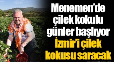 Menemen’de çilek kokulu günler başlıyor