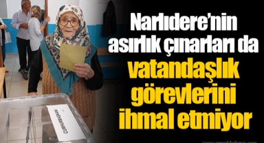 Narlıdere’nin asırlık çınarları da vatandaşlık görevlerini ihmal etmiyor