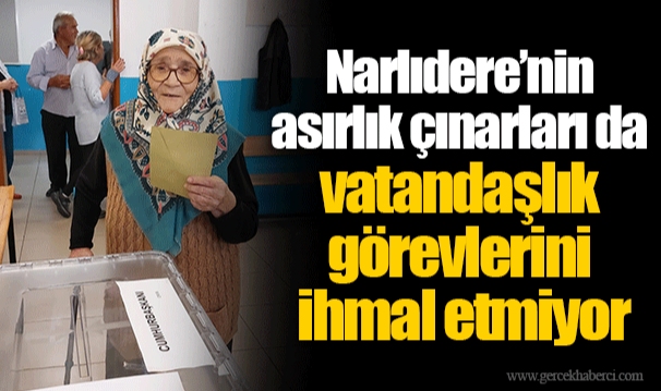 Narlıdere’nin asırlık çınarları da vatandaşlık görevlerini ihmal etmiyor