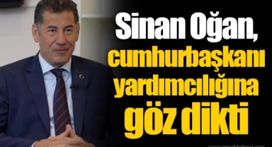 Sinan Oğan, cumhurbaşkanı yardımcılığına göz dikti