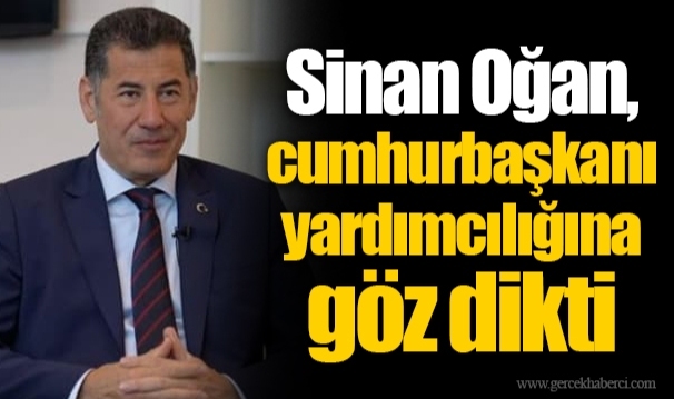 Sinan Oğan, cumhurbaşkanı yardımcılığına göz dikti