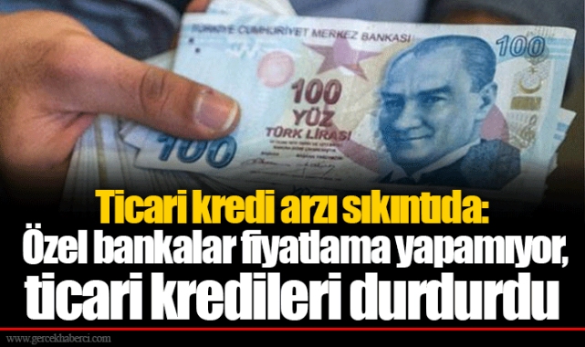 Ticari kredi arzı sıkıntıda: Özel bankalar fiyatlama yapamıyor, ticari kredileri durdurdu