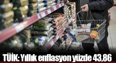 TÜİK: Yıllık enflasyon yüzde 43,86
