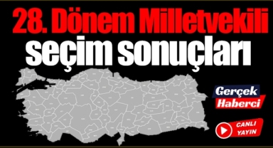 Türkiye Genel Milletvekili sonuçları
