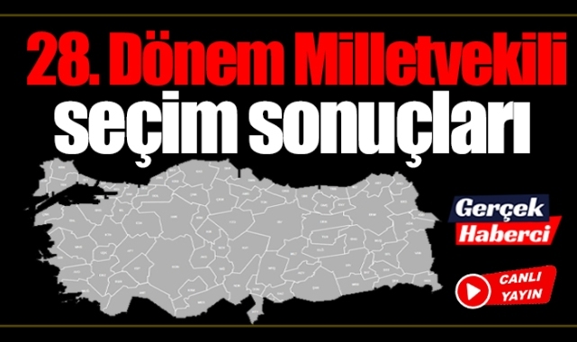 Türkiye Genel Milletvekili sonuçları